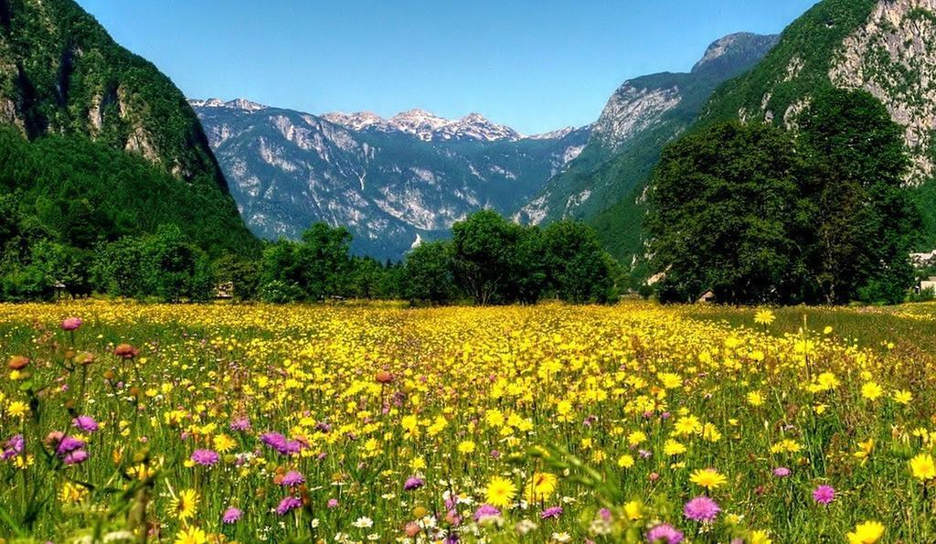 Apartments Zorc Bohinj Bagian luar foto