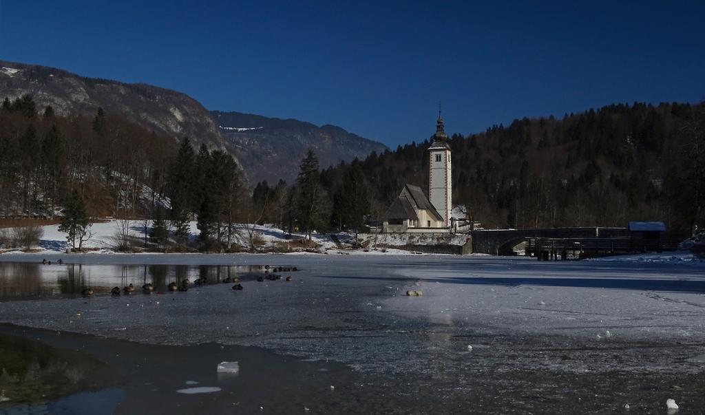 Apartments Zorc Bohinj Bagian luar foto